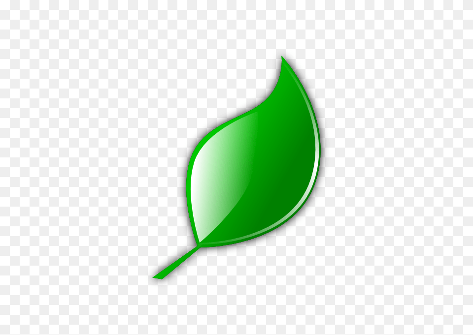 Leaf Clipart, Plant, Clothing, Hat, Appliance Free Png