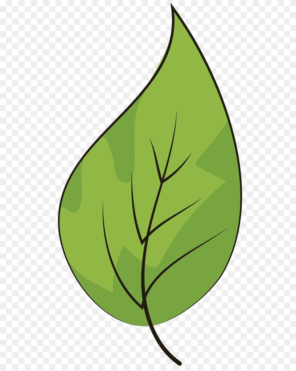 Leaf Clipart, Plant Free Png Download