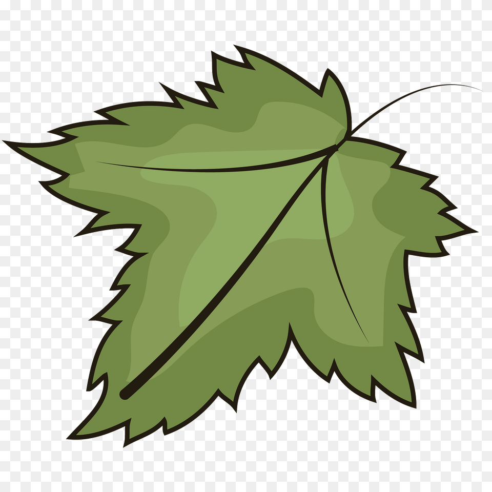 Leaf Clipart, Plant, Tree, Maple Leaf, Animal Free Png