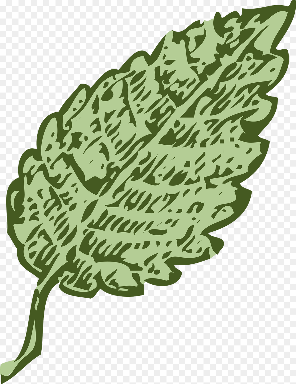 Leaf Clipart, Plant, Oak, Sycamore, Tree Png Image