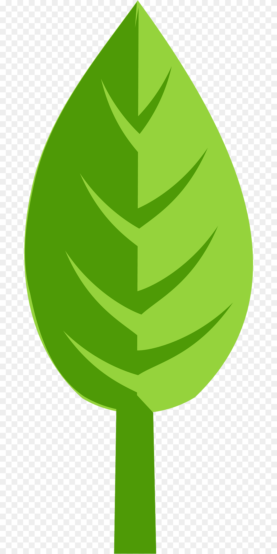 Leaf Clipart, Green, Plant, Herbal, Herbs Png