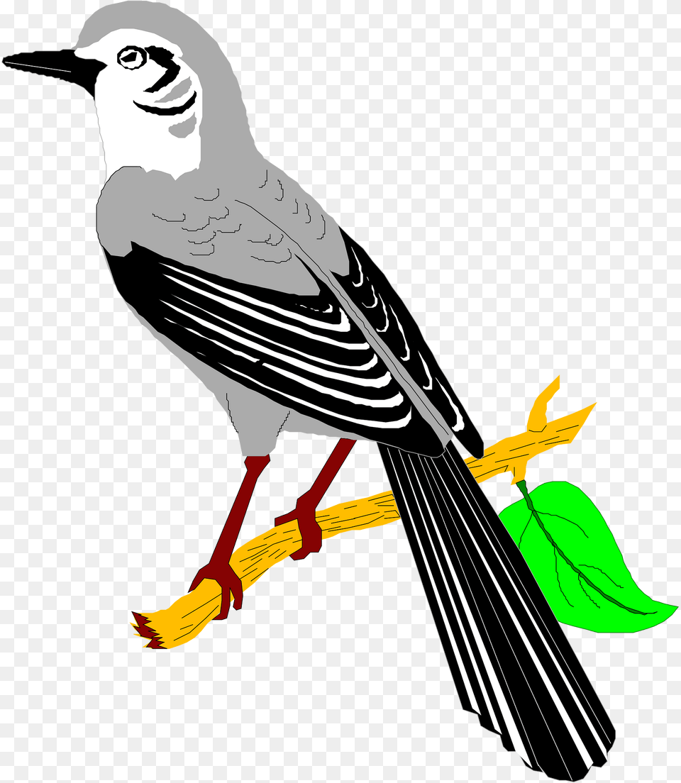 Leaf Clipart, Animal, Beak, Bird, Jay Free Png
