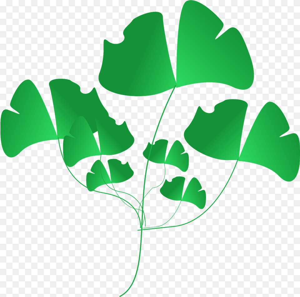 Leaf Clipart, Green, Plant Free Transparent Png