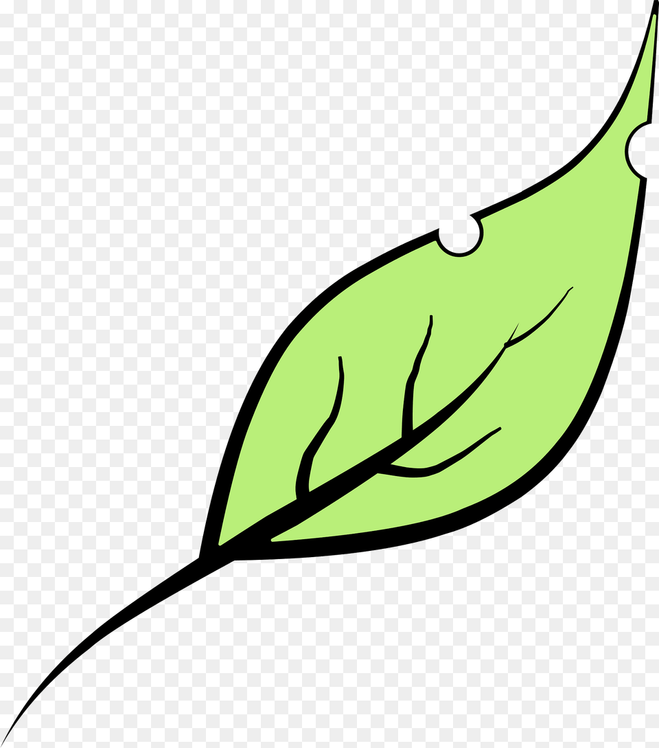 Leaf Clipart, Plant, Animal, Fish, Sea Life Png Image