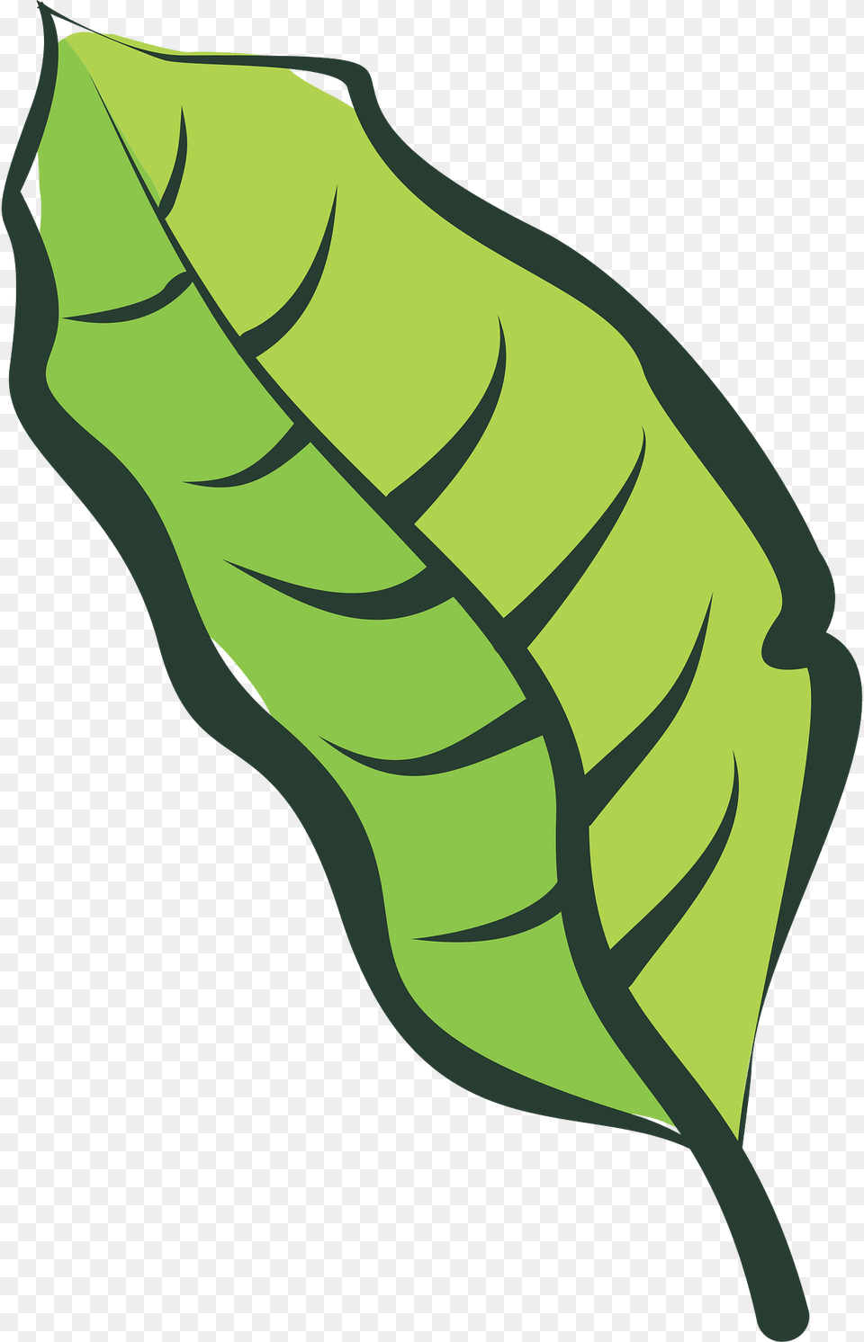 Leaf Clipart, Plant, Vegetation, Bow, Weapon Png Image