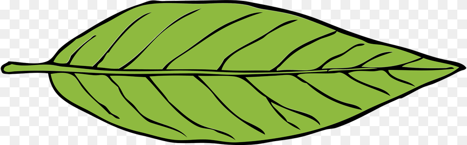 Leaf Clipart, Plant, Animal, Fish, Sea Life Png Image