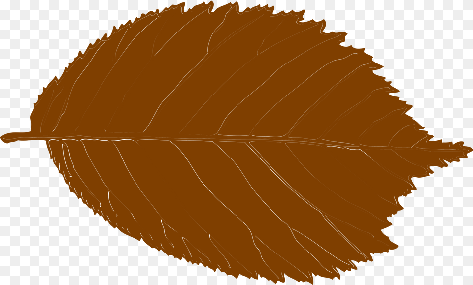 Leaf Clipart, Plant, Tree Free Transparent Png