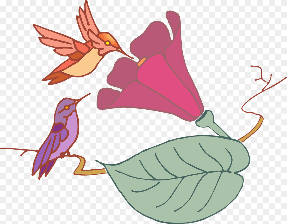 Leaf Clipart, Animal, Bird, Cartoon, Art Free Png Download