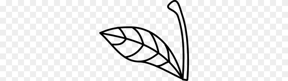 Leaf Clipart Apple Stem, Gray Free Png Download