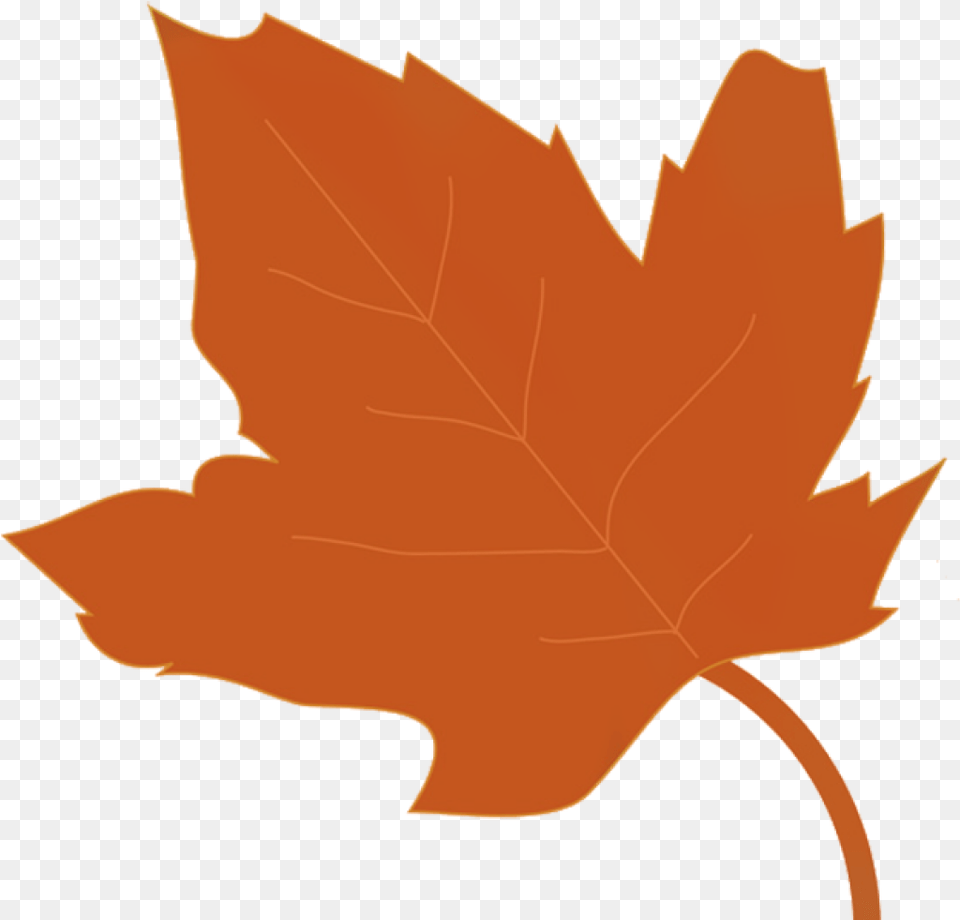 Leaf Clipart Autumn Transparent Fall Leaf Clip Art, Maple Leaf, Plant, Tree, Baby Free Png Download