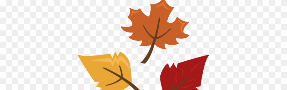 Leaf Clipart Background Clear Background Autumn Leaves Clip Art, Plant, Maple Leaf, Tree, Person Png Image
