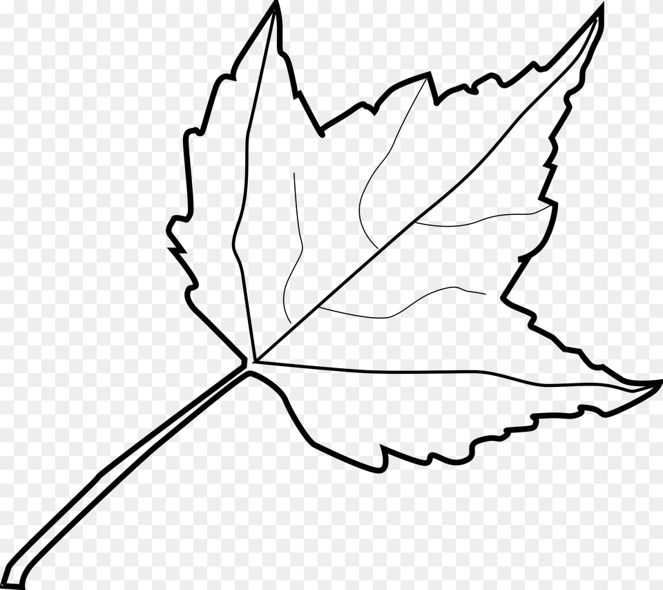 Leaf Clipart Black And White, Gray Free Png