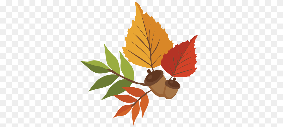 Leaf Clipart Cute, Food, Nut, Plant, Produce Free Transparent Png
