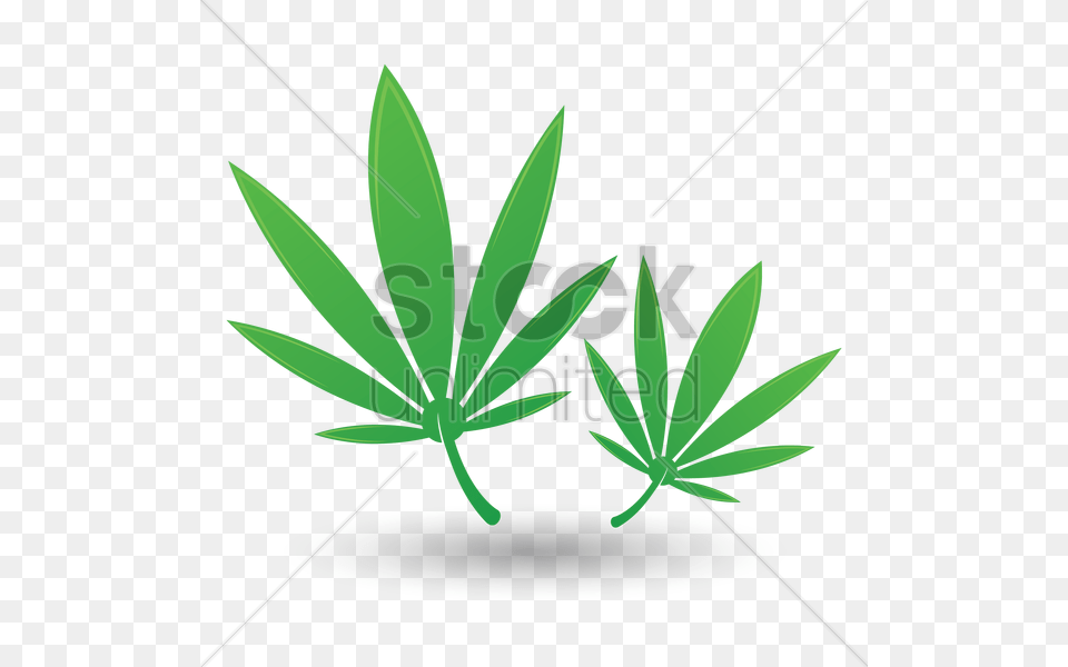 Leaf Clipart Illustration, Weed, Plant, Herbal, Herbs Free Transparent Png