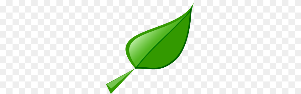Leaf Clipart Leaf Icon, Green, Plant Free Transparent Png