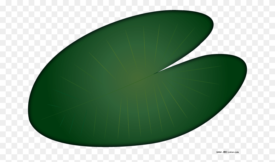 Leaf Clipart Lily Pad, Green, Plant, Disk, Flower Png Image