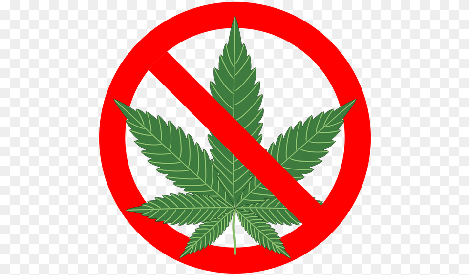 Leaf Clipart Medical Cannabis Drug Transprent, Plant, Weed Free Png