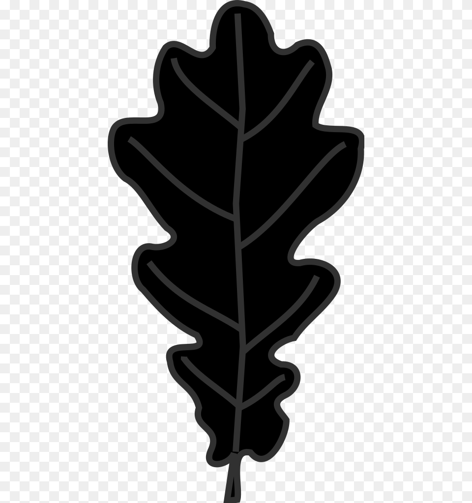 Leaf Clipart Oak Tree, Plant, Food, Nut, Produce Png Image