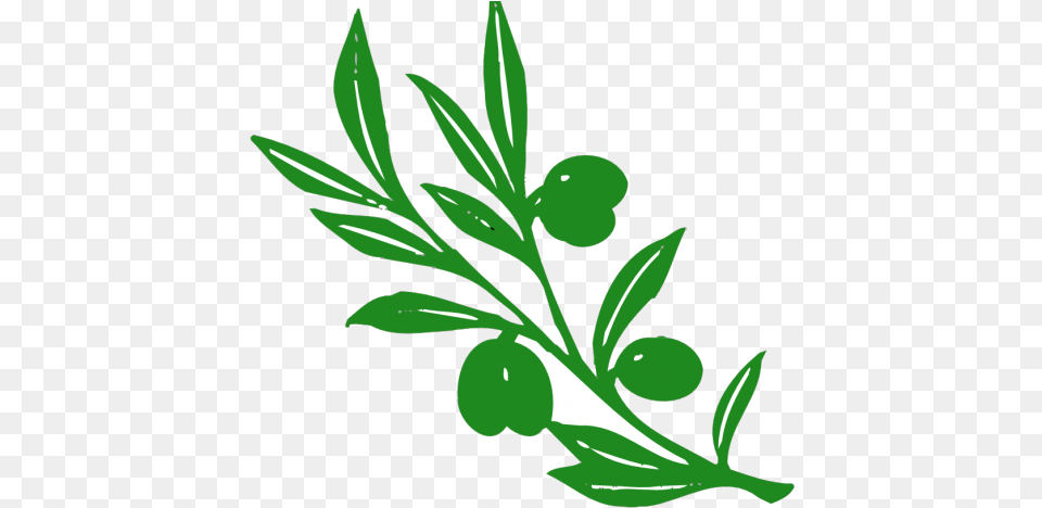 Leaf Clipart Olive Tree Olive Tree Logo Transparent Greek Mythology Persephone Symbol, Art, Floral Design, Graphics, Green Free Png