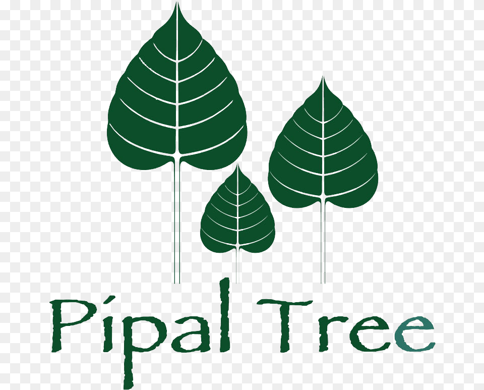 Leaf Clipart Pipal Tree Clipart Of Leaf Of Pipal, Plant, Vegetation, Jungle, Nature Free Png