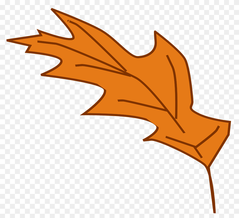 Leaf Clipart With Background, Maple Leaf, Plant, Tree, Animal Free Transparent Png