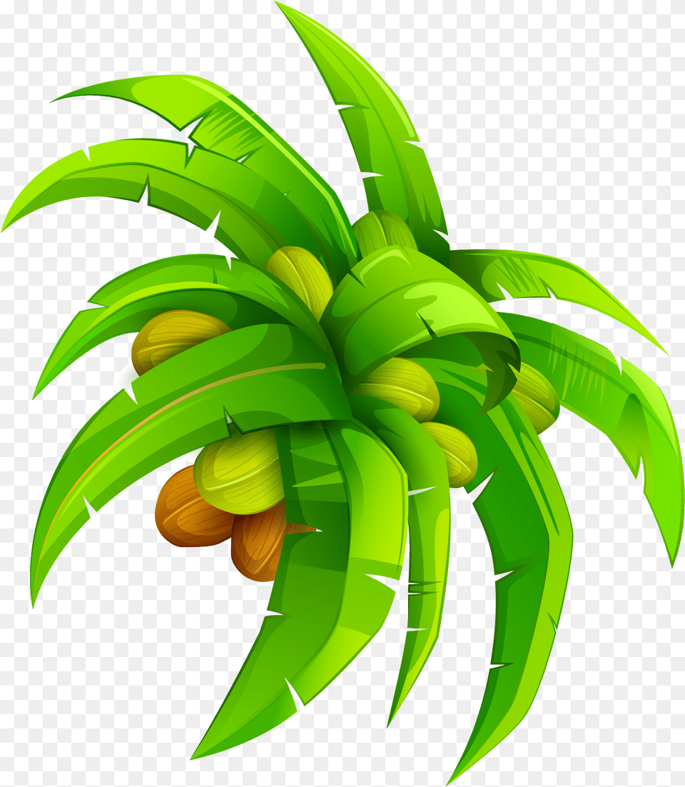 Leaf Coconut Euclidean Coconut Leaf Vector, Green, Sea Life, Produce, Plant Free Png Download