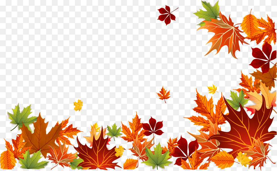 Leaf Color Leaves Autumn Euclidean Vector Clipart Transparent Fall Leaves Background, Plant, Tree, Maple, Maple Leaf Free Png Download