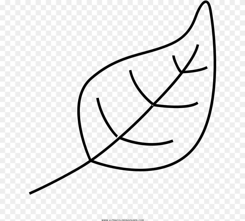 Leaf Coloring Page, Gray Png