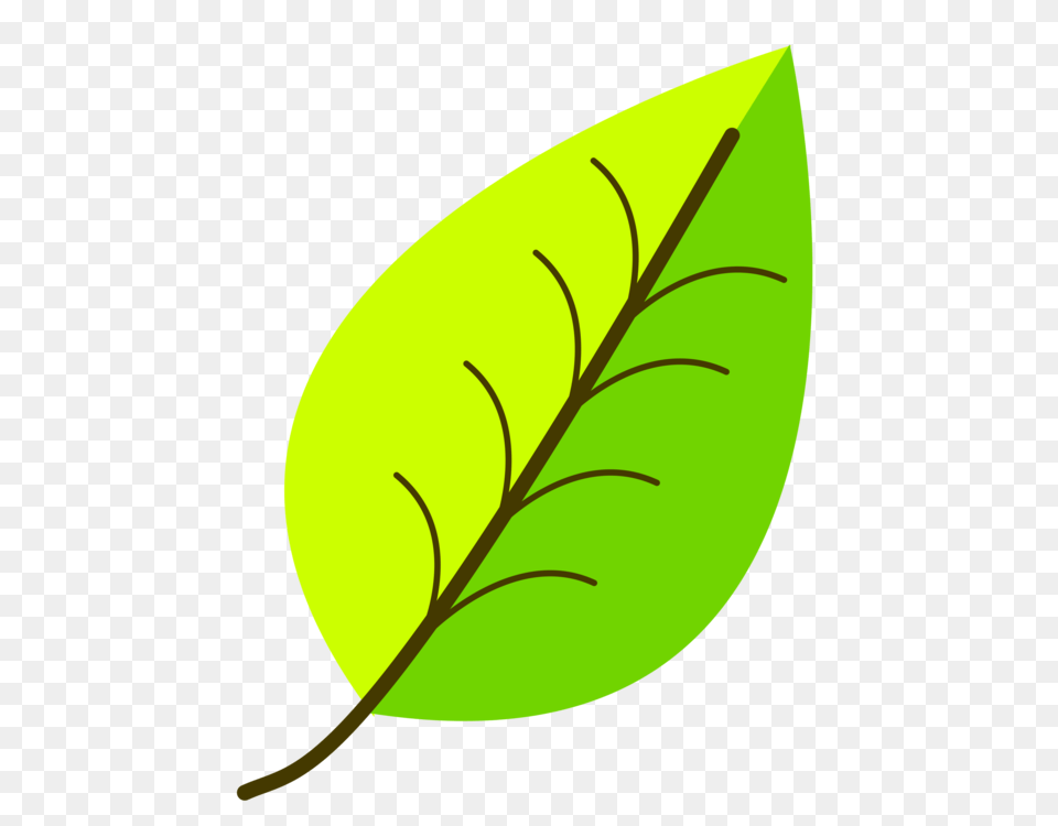 Leaf Computer Icons Green Drawing Yellow, Plant, Annonaceae, Tree Free Png Download