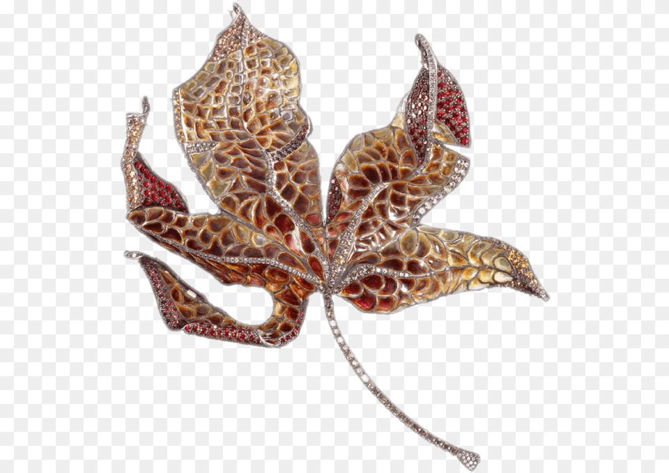 Leaf Download Luz Camino Joyas, Accessories, Jewelry, Plant, Brooch Png