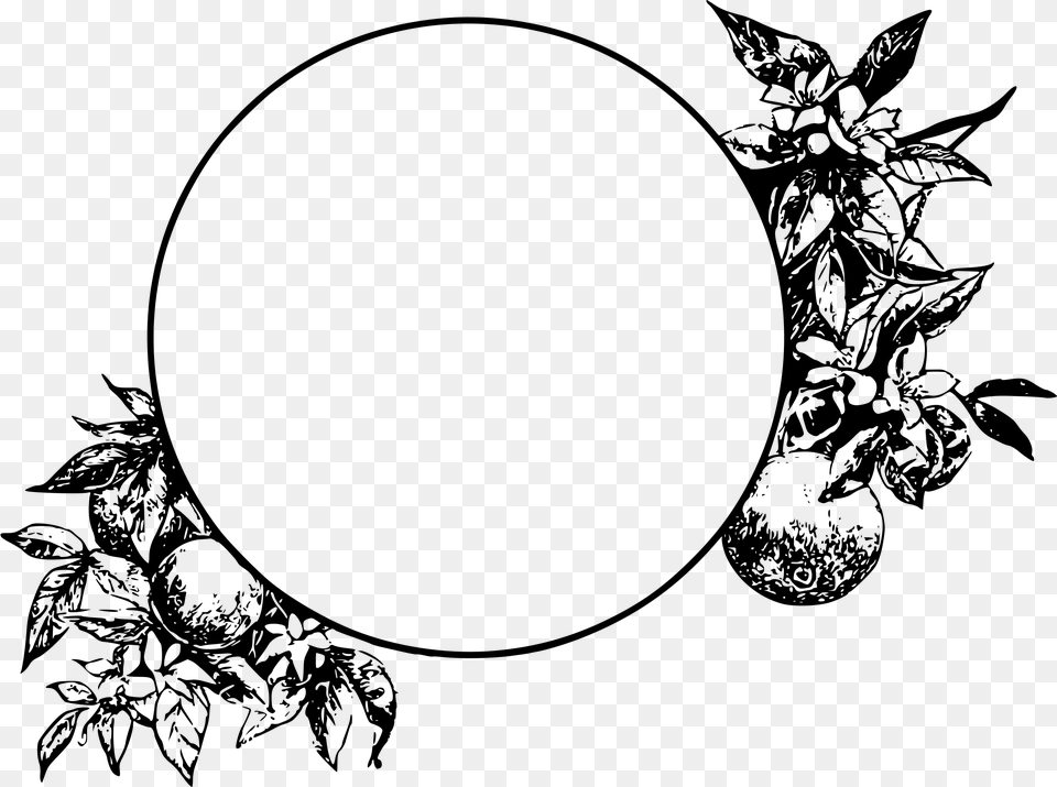 Leaf Drawing Circle For Leaf Circle Circle Border Design, Gray Png