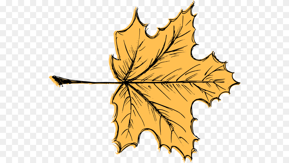 Leaf Drawing Vector, Plant, Tree, Maple Leaf, Person Png Image