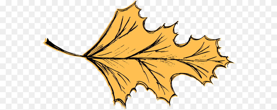 Leaf Drawing Vector Eps Svg Transparent Onlygfxcom Lovely, Plant, Tree, Person, Maple Leaf Free Png