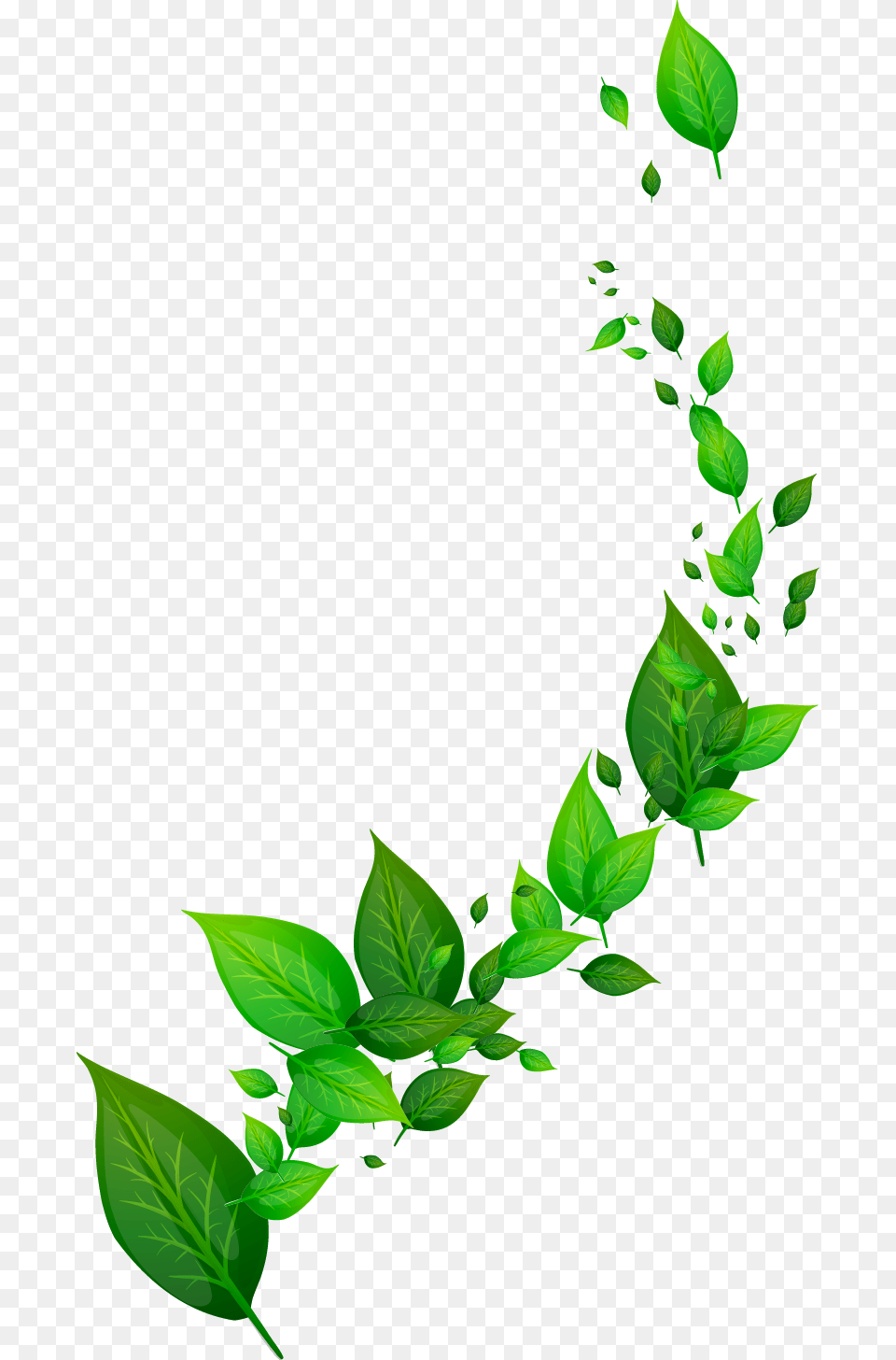 Leaf Dynamic Frame Positive Good Afternoon Quotes, Green, Herbal, Herbs, Plant Free Png