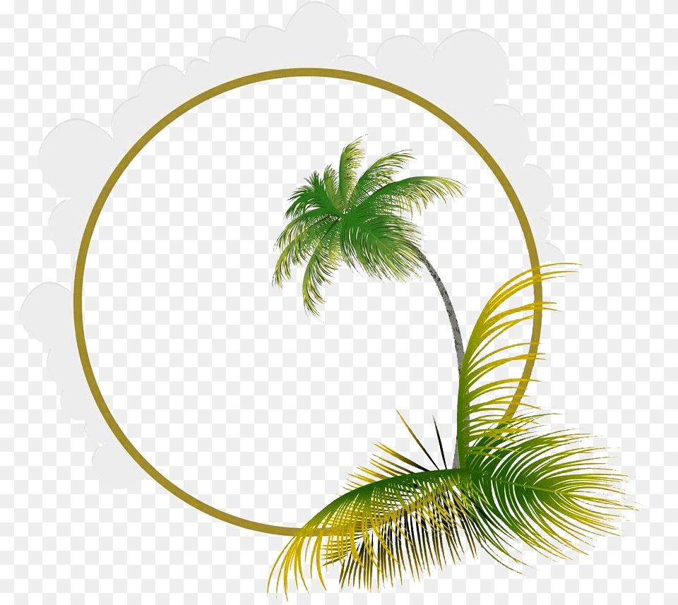 Leaf Euclidean Coconut Frame Picture Material Transprent Coconut Tree Frame, Palm Tree, Plant, Green, Vegetation Free Transparent Png