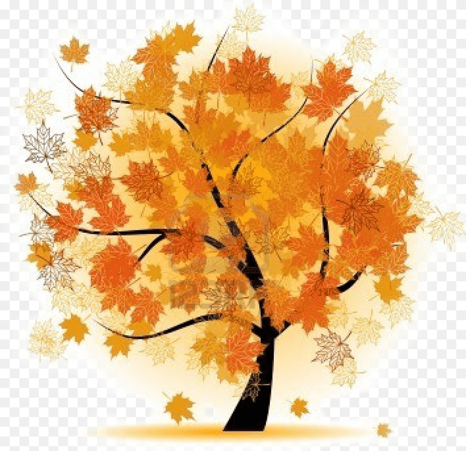 Leaf Fall, Maple, Plant, Tree, Art Free Png Download
