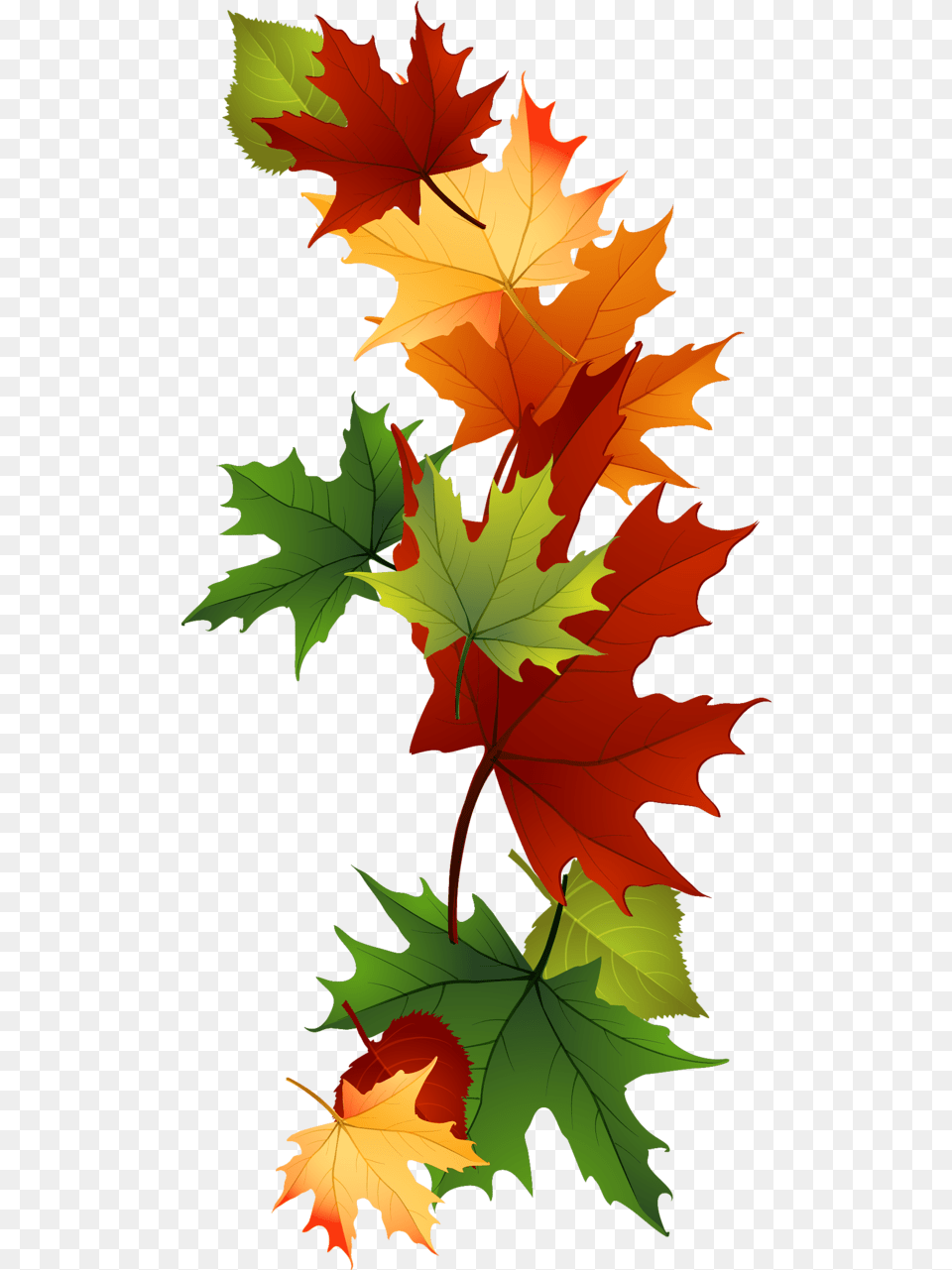Leaf Fall Leaves Clip Art Beautiful Autumn Clipart Autumn Clipart Plant, Tree, Maple, Maple Leaf Free Transparent Png