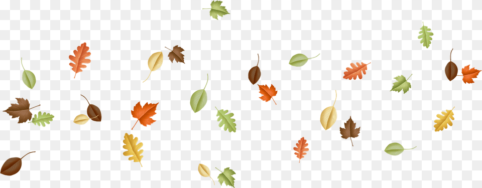 Leaf Falling Autumn Leaves Pile, Plant, Tree Png Image