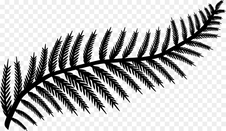 Leaf Fern Frond Silhouette Drawing, Gray Png
