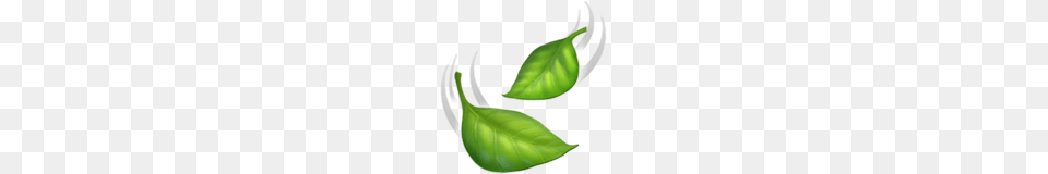 Leaf Fluttering In Wind Emoji On Apple Ios, Plant, Herbal, Herbs Png