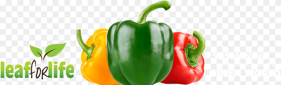 Leaf For Life Green And Red Bell Pepper, Bell Pepper, Food, Plant, Produce Png