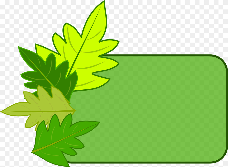 Leaf Frame Clipart, Green, Herbal, Herbs, Plant Png