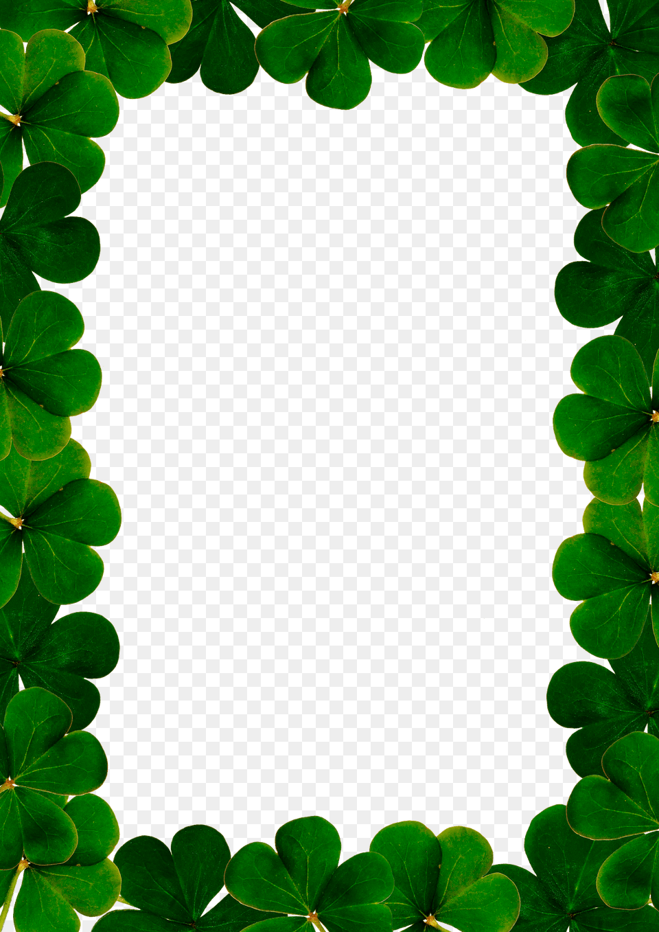 Leaf Frame Clipart, Flower, Geranium, Green, Plant Png Image