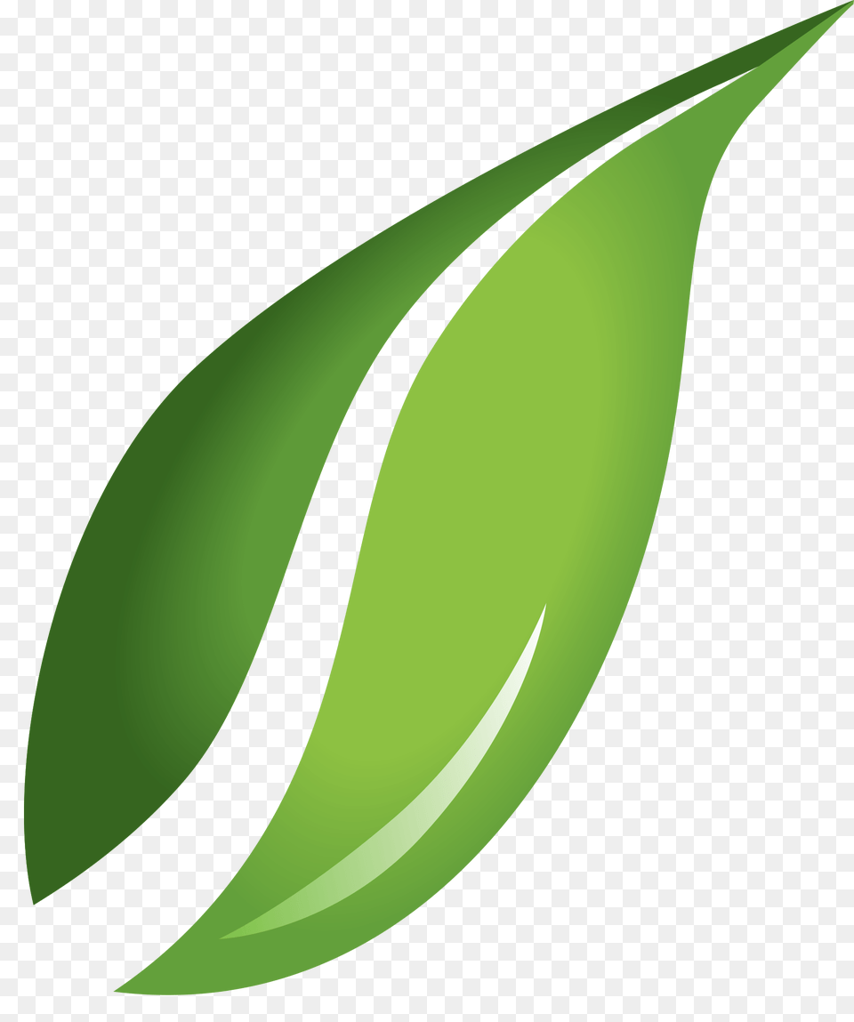 Leaf Garden Leave Icon, Green, Plant, Droplet Free Png Download