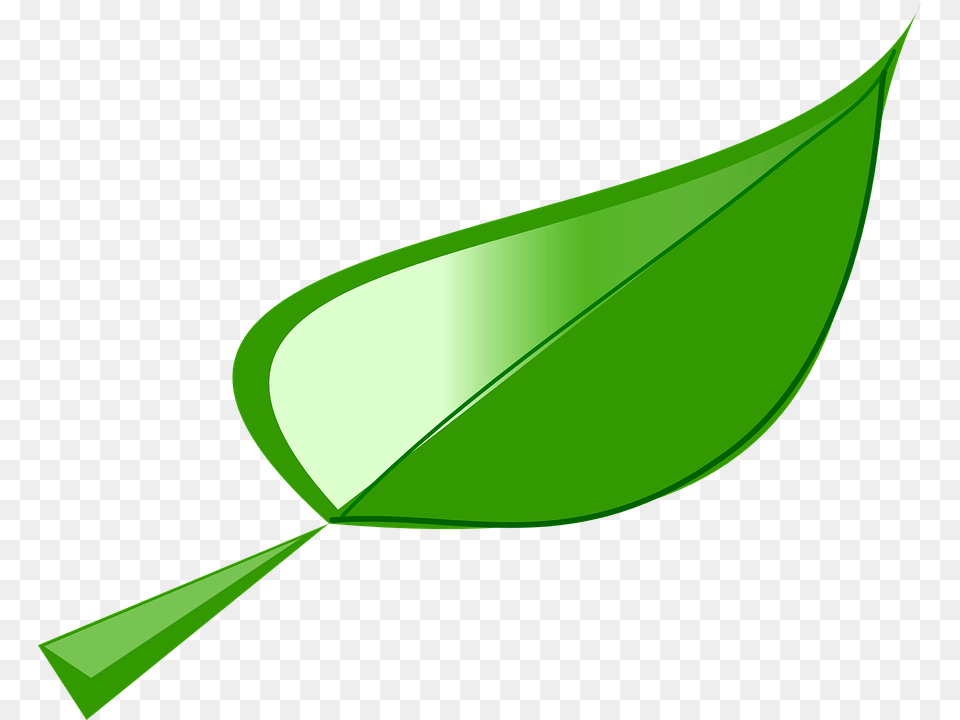 Leaf Graphic 21 Buy Clip Art Leaf Clipart, Green, Plant Png Image