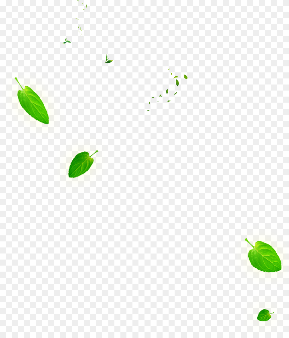 Leaf Green Euclidean Vector Falling Tea Leaves, Plant, Food, Fruit, Produce Png Image