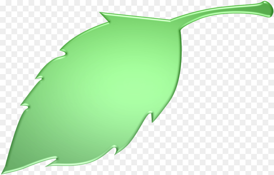 Leaf Green Green Leaves Illustration, Plant, Herbs, Herbal, Car Png