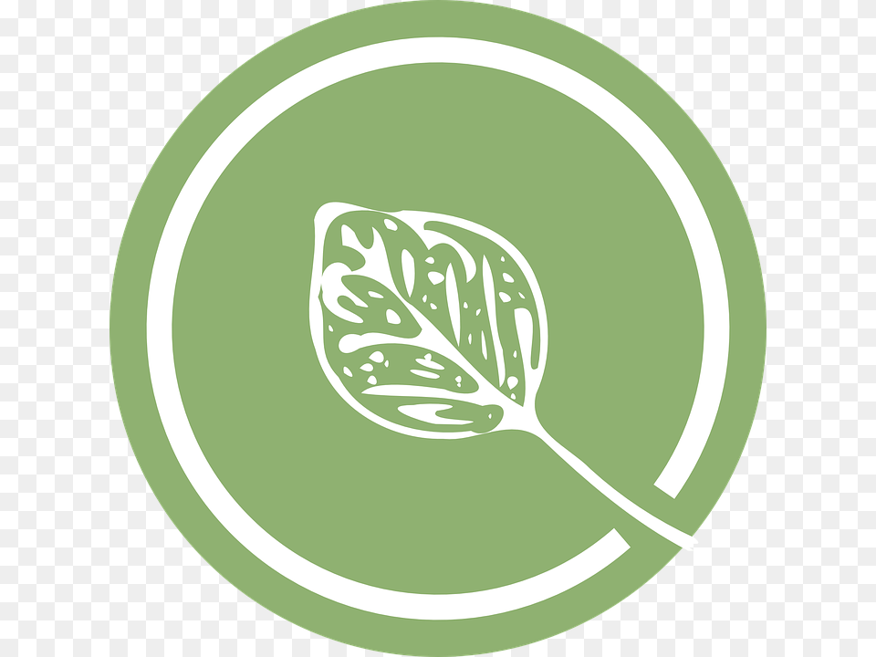 Leaf Green Logo Amp183 Vector Graphic On Pixabay Leaf, Herbal, Herbs, Plant, Disk Free Png
