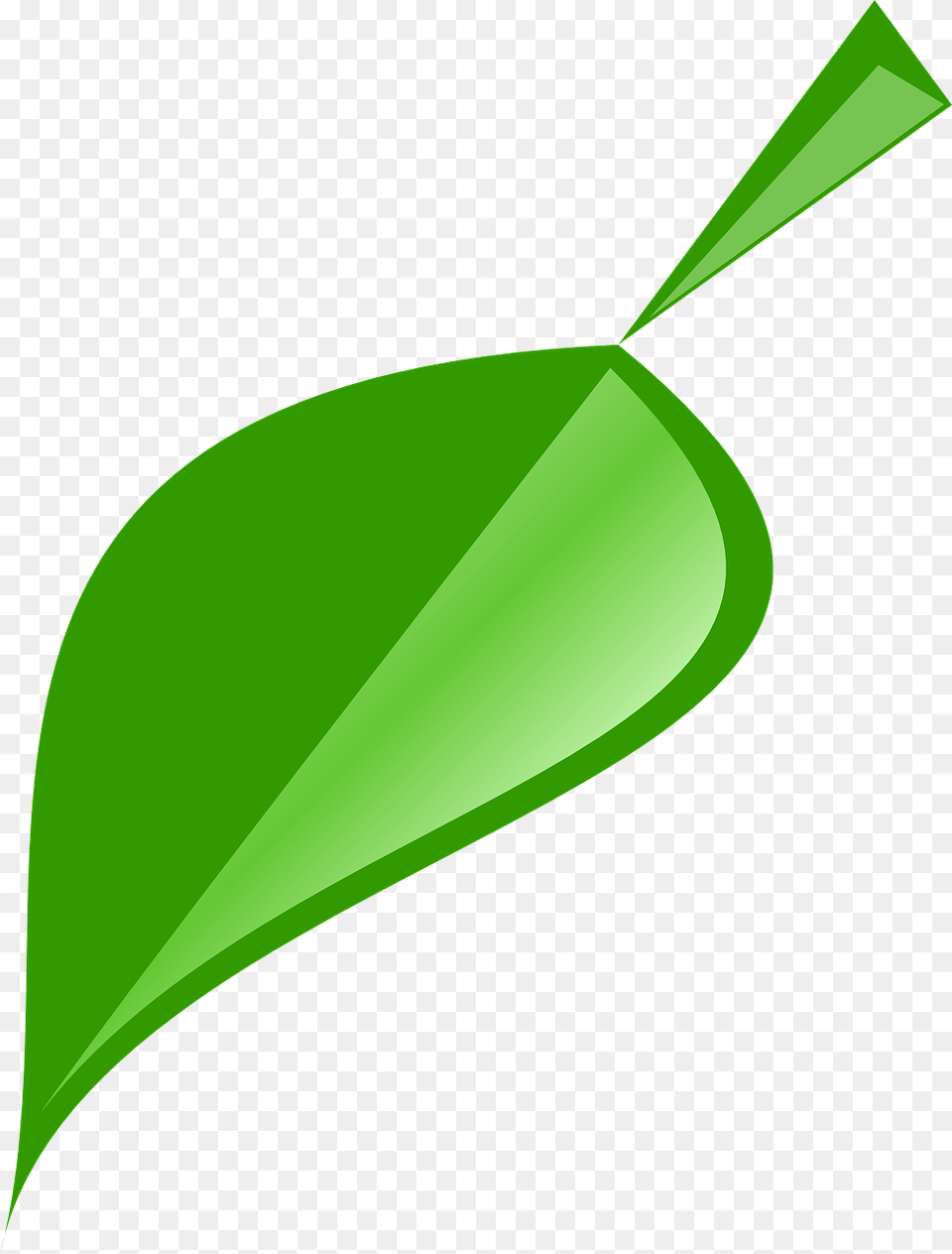 Leaf Green Nature Plant Natural Spring Png