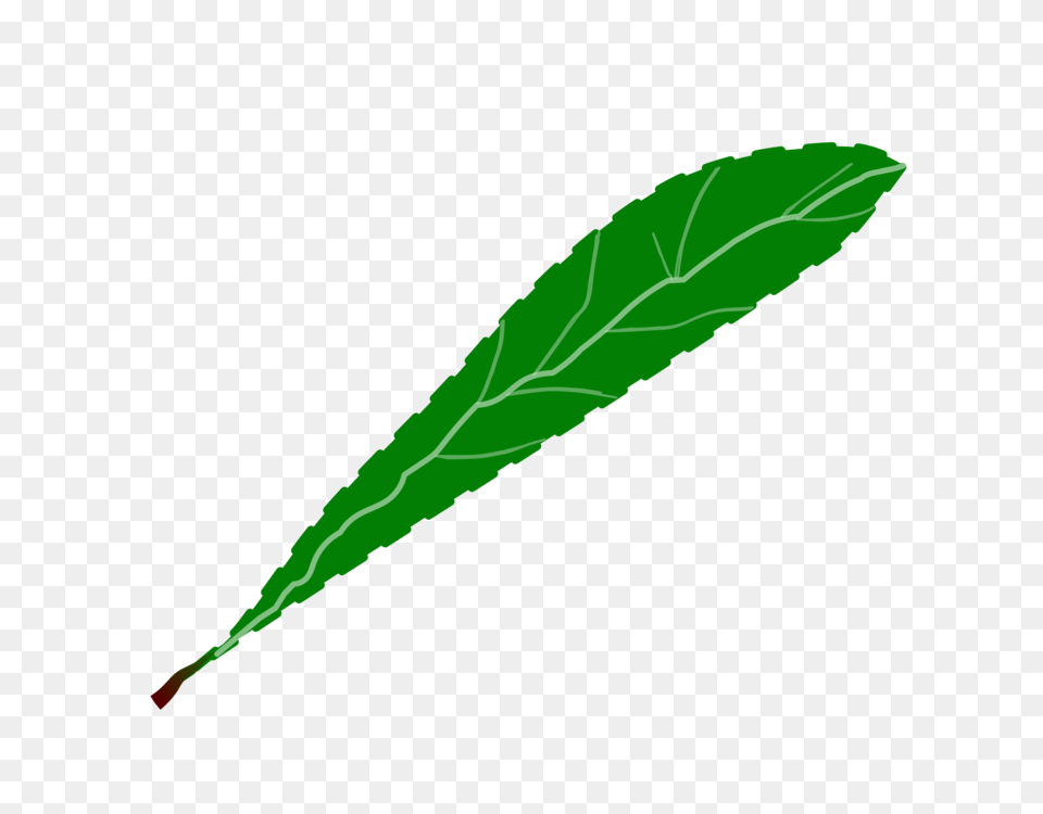 Leaf Green Petal Flower Plants, Plant, Herbal, Herbs, Animal Png Image